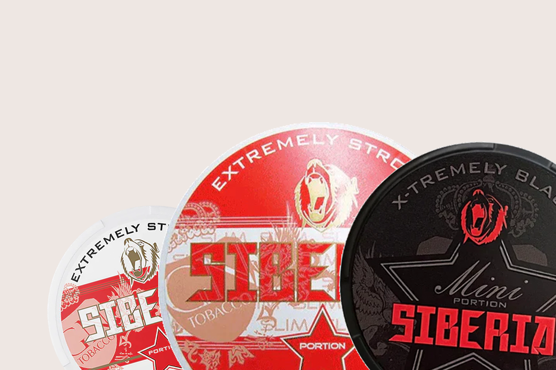 Siberia vs Odens – Welcher Snus ist stärker? Der große Vergleich